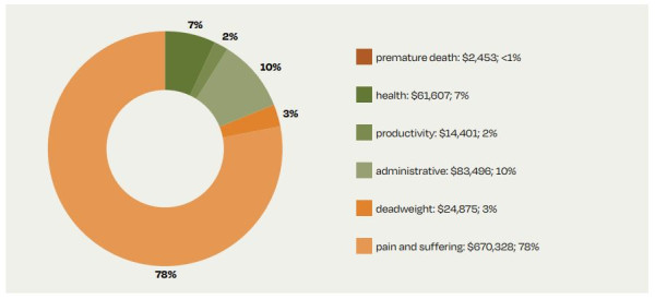 Pie chart of average lifetime cost for an individual abused in care. Total cost approx $857,000, about $184,000 financial costs to the economy on increased spending and $673,000 is non-financial cost reflecting pain and suffering. 